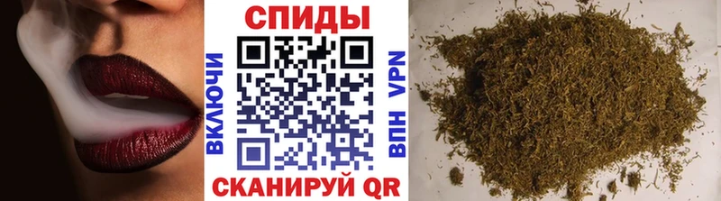 где купить   Кириши  БУТИРАТ оксана 