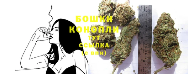 мдпв Кукмор