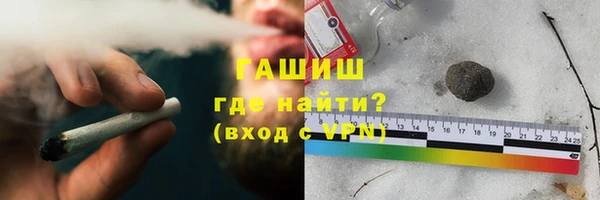 стаф Корсаков