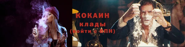 стаф Корсаков