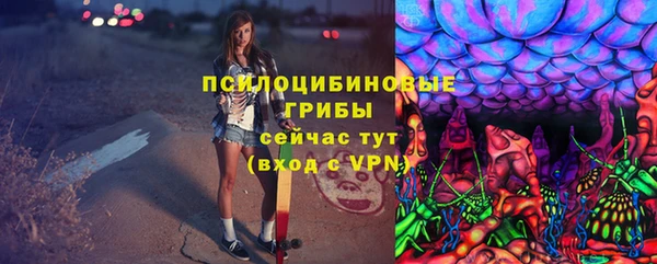 мдпв Кукмор
