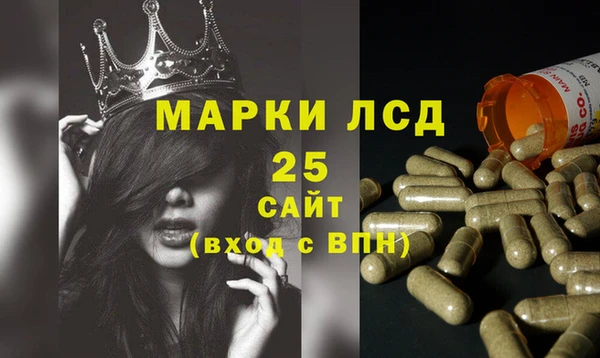 стаф Корсаков