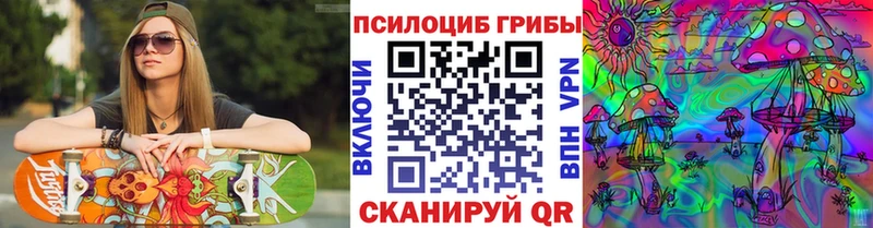 hydra ссылка  маркетплейс клад  Псилоцибиновые грибы Magic Shrooms  Кириши 