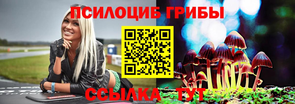 Галлюциногенные грибы мицелий Кириши