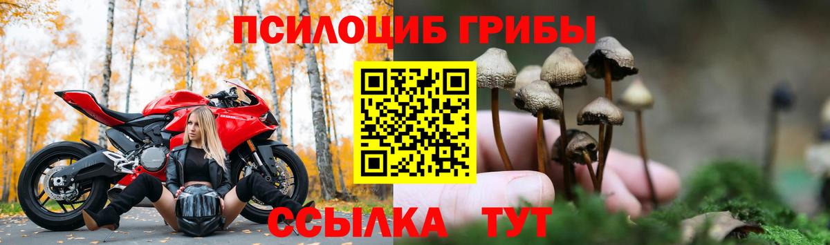 Псилоцибиновые грибы GOLDEN TEACHER  Вход с VPN  Кириши  Псилоцибиновые грибы GOLDEN TEACHER 